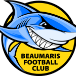 BFC Sharks Logo